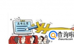 高考如何报考志愿