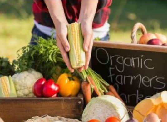 有机食品是什么意思