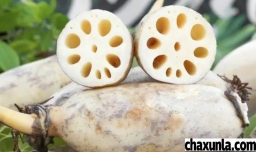 选择莲藕的方式