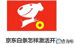 京东白条怎样激活开通
