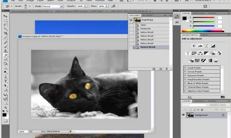 羽化是什么意思