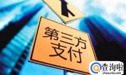 怎样申请第三方支付牌照