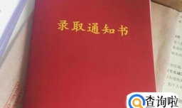 有哪些方法可以查询大学录取通知书发放状态？