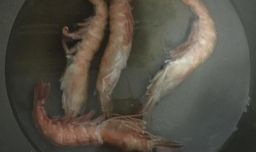 如何煮红虾细粉？