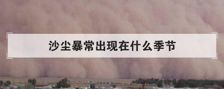 沙尘暴常出现在什么季节
