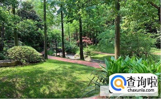 绿化率多少比较好