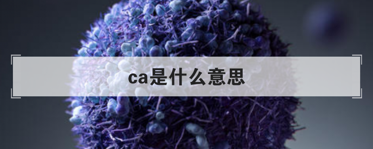 ca是什么意思