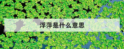 浮萍是什么意思