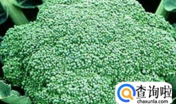 夏季吃什么能够促进减肥？