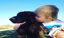 家里有婴儿能不能养狗