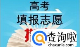 如何报考心理学专业