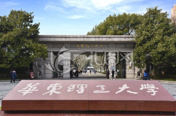 上海有什么大学
