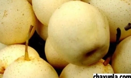 雪梨的妙用好处