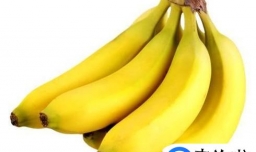 中午吃什么减肥瘦得快