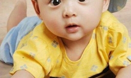 娄姓起名字大全