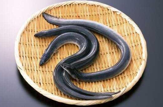 马桶堵了怎么办