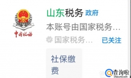 网上怎么办理农村合作医疗卡