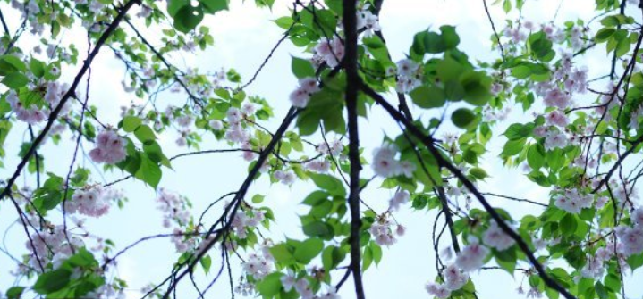 立春的含义是什么