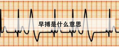 早搏是什么意思