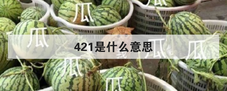 421是什么意思