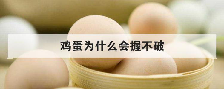 鸡蛋为什么会握不破