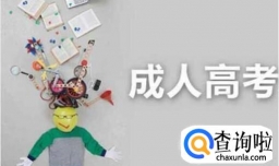 怎么查成人高考成绩