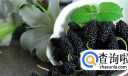 手工自制紫桑葚酱简便方法，黑桑葚果子酱制作