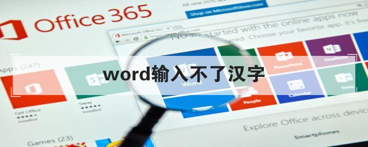 word输入不了汉字