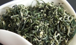 “碧螺春”这种茶产于什么地方？