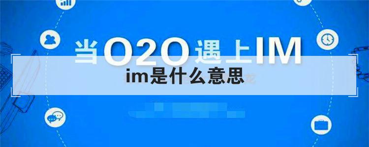 im是什么意思