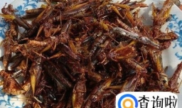 美味之油炸蚂蚱