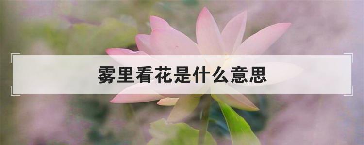 雾里看花是什么意思