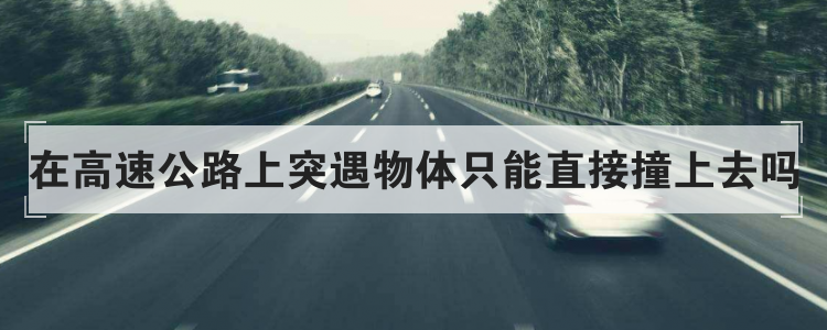 在高速公路上突遇物体只能直接撞上去吗