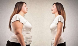 减肥产品排行榜前10名