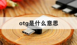 otg是什么意思