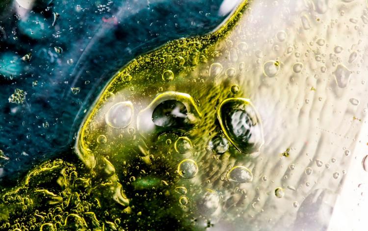 水和油为什么不能融合