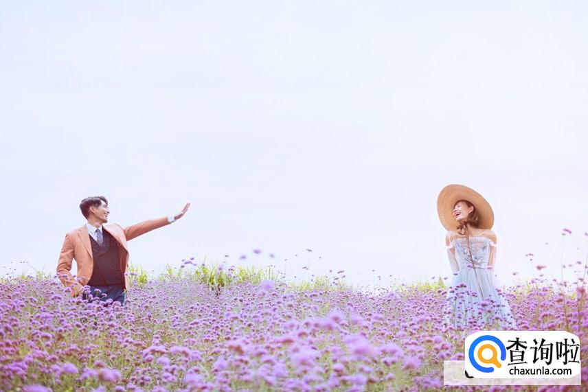 父母不同意婚事怎么办