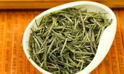 白豪银尖是什么茶