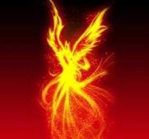 两全其美是什么生肖