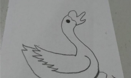简笔画之咏鹅的画法