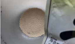 怎么做胡萝卜馅饼!