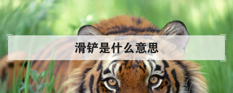 滑铲是什么意思