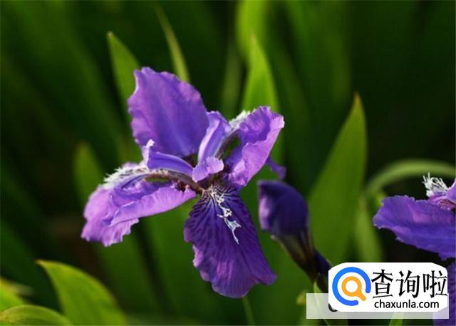 摄影技巧知识讲解