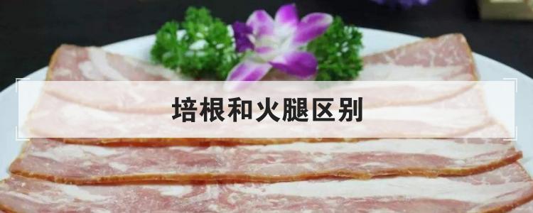 培根和火腿区别