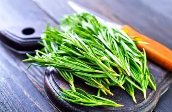 迷迭香是什么&nbsp;