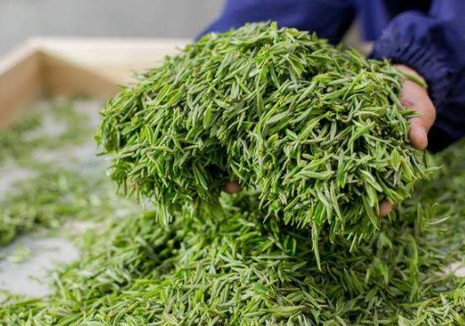 哪些地方盛产茶叶