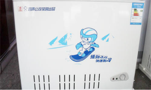冰柜排行榜前十名家用
