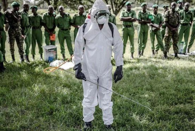 蝗灾后蝗虫去哪里了