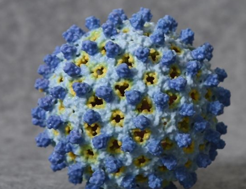 hbsag阳性是什么意思