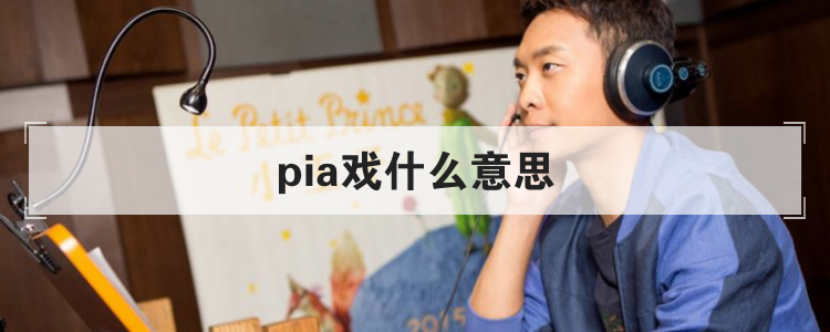 pia戏什么意思